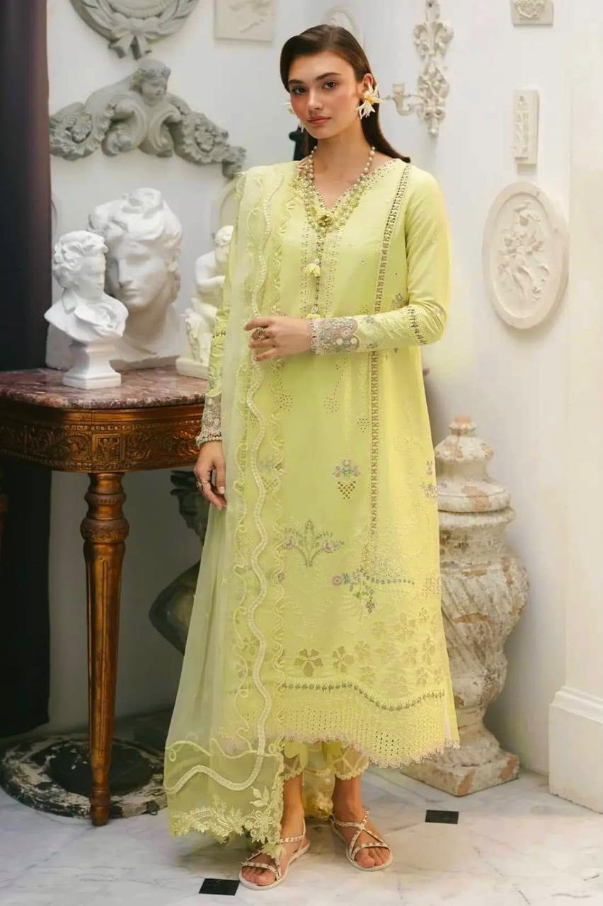 *Winter Collection 2027 *Most DEMANDING ARTICLE 
